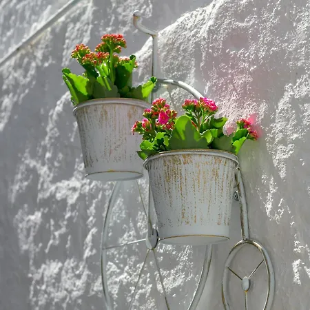 Апартаменти Rustic Self-inn *