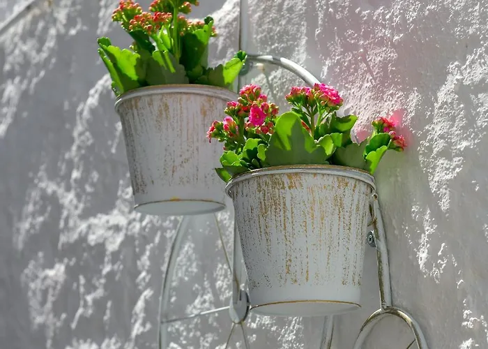 Apartamento Rustic Self-inn *